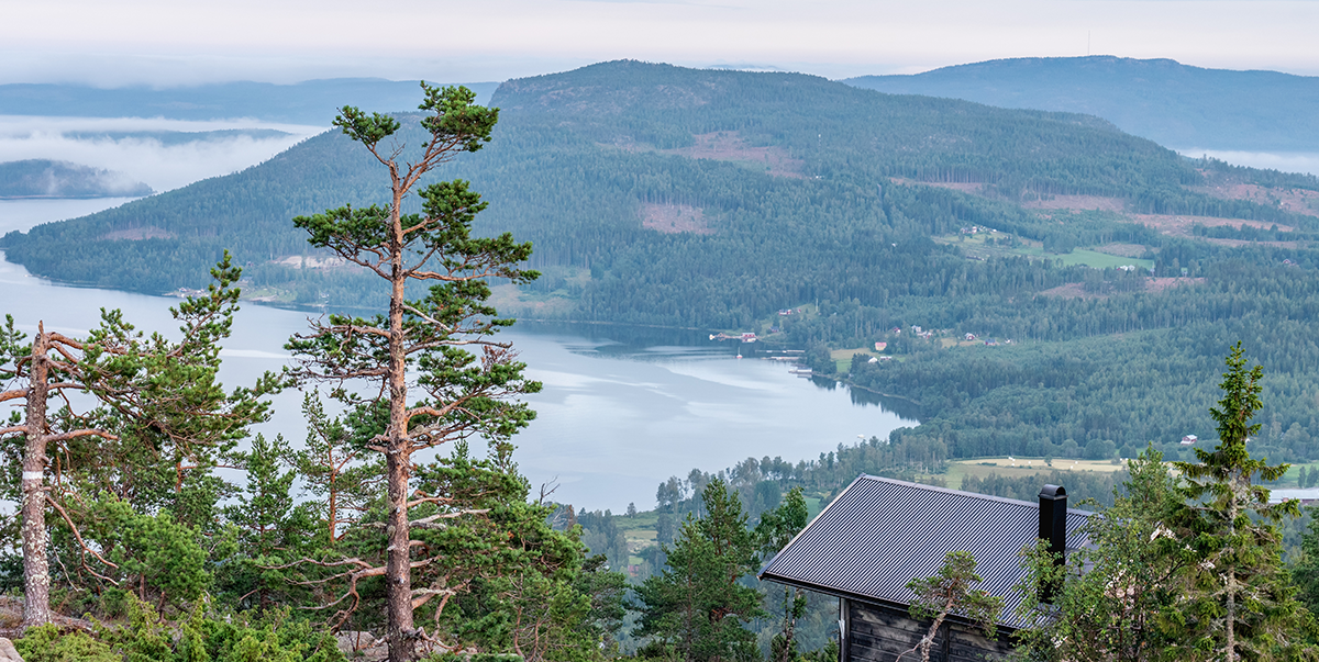 grön ammoniak och konstgödsel i Sverige